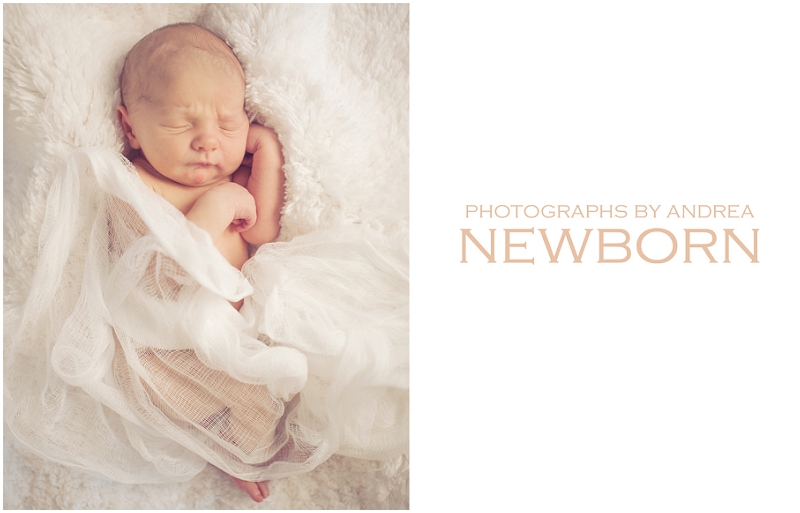 "Newborn Photography"