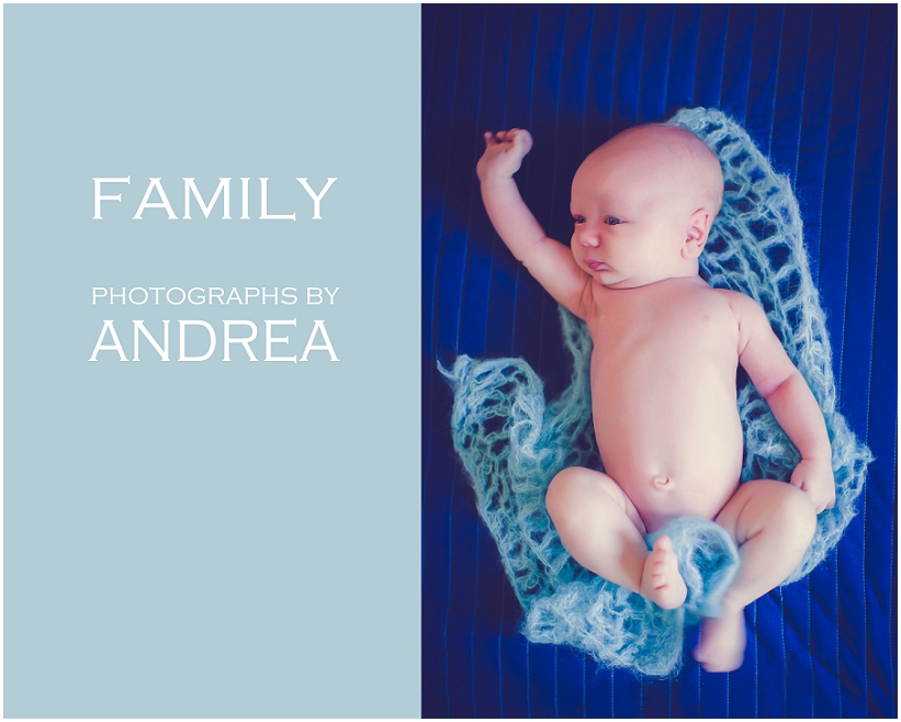 "California Family Photography"