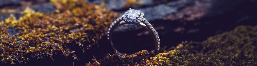 "Squires Castle Engagement"