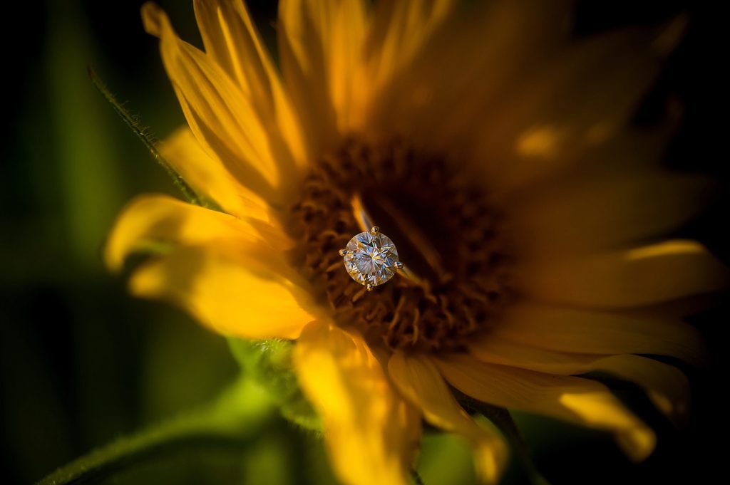 "SC Engagement Photography"