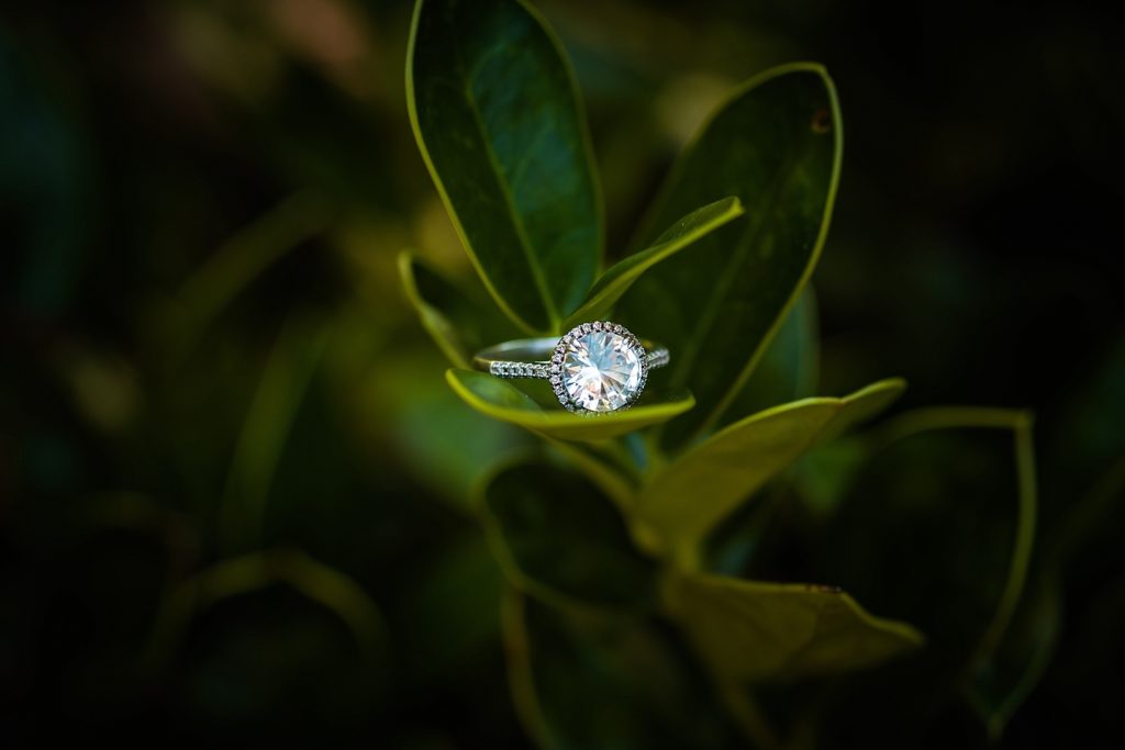 "SC Engagement Photography"