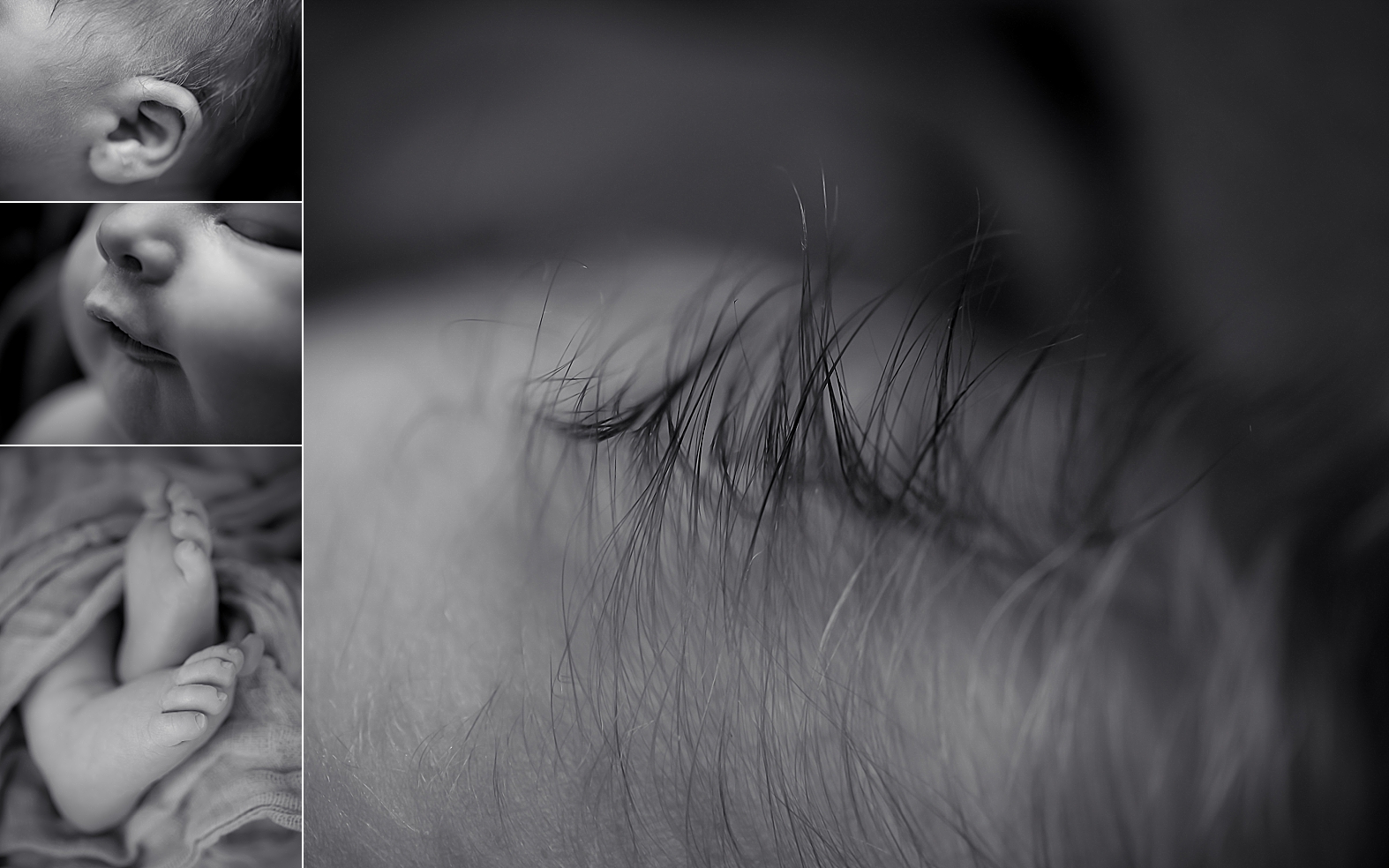 "South Carolina Family Photographer"