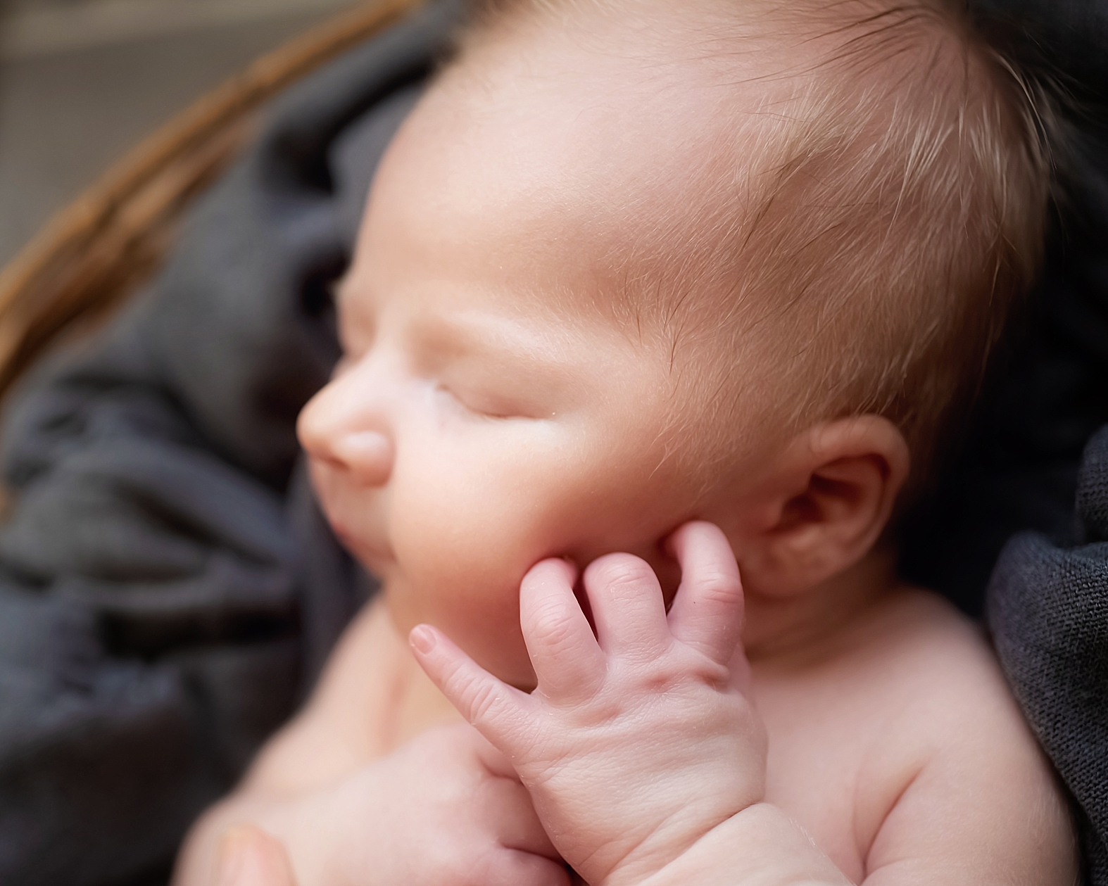 "South Carolina Family Photographer"