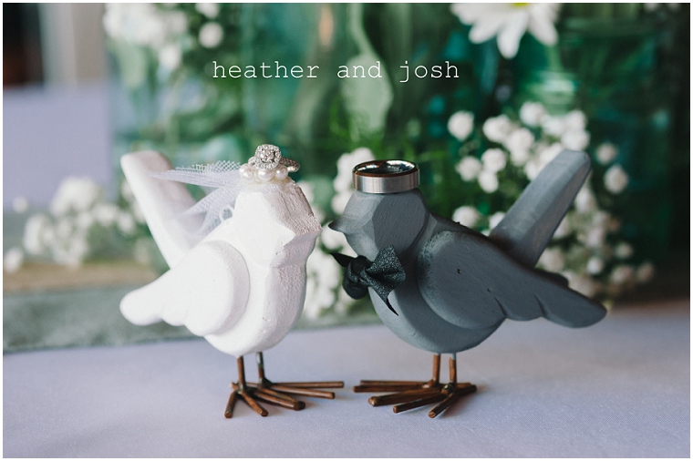 Heather and Josh ~ Married | Hidden Acres, Marion SC