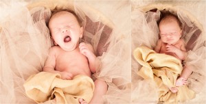"Newborn Photography"
