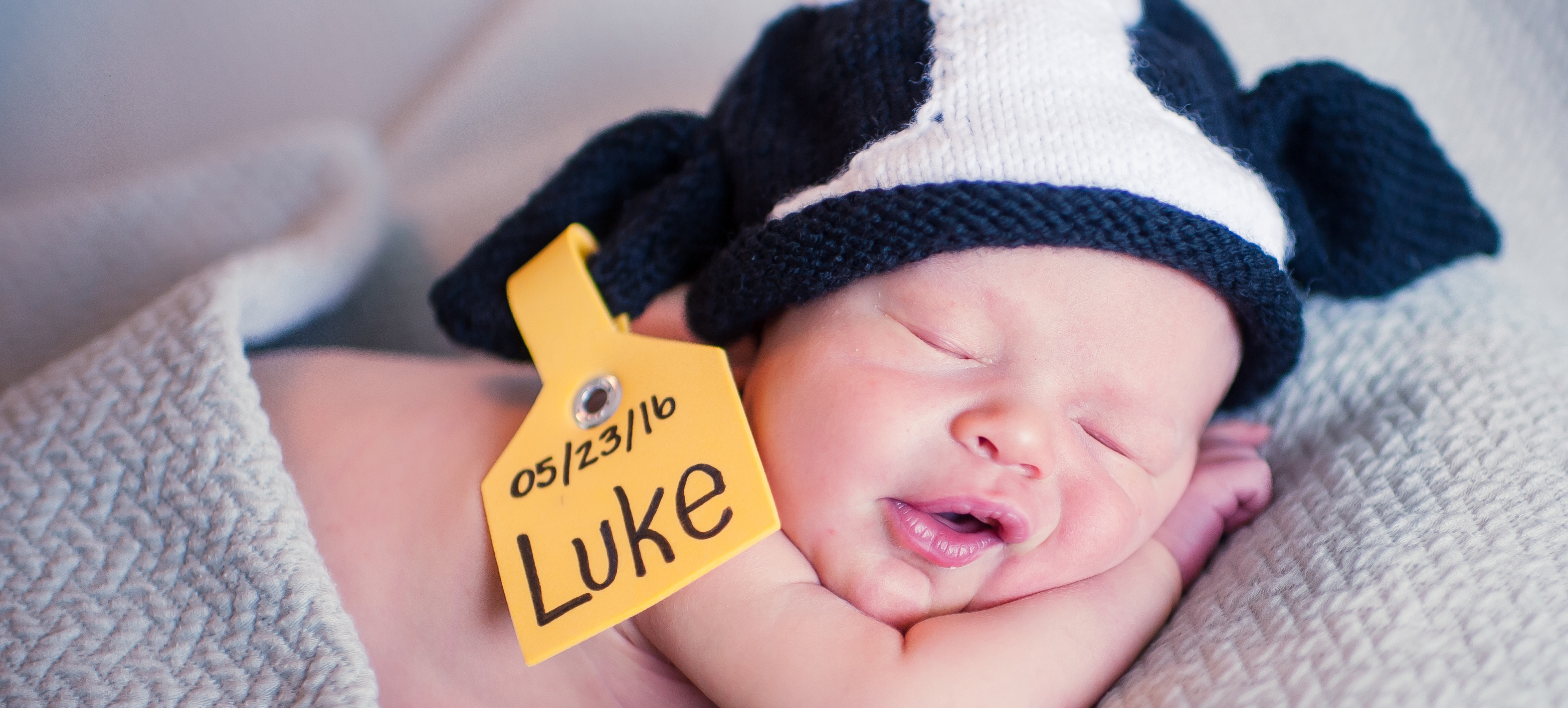 Luke ~ Newborn | Westminster SC