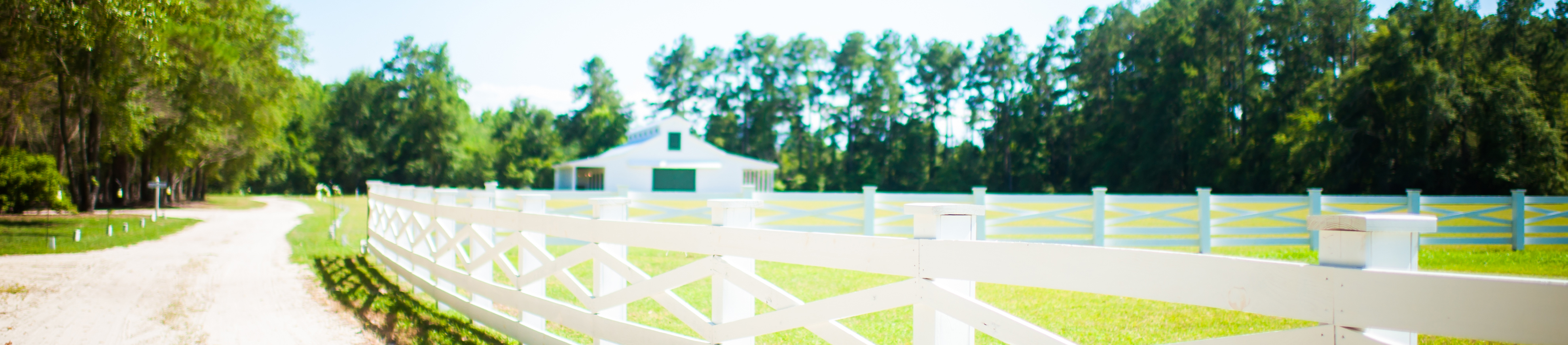 Katie and Ben ~ Married | Wildberry Farm, Marion SC