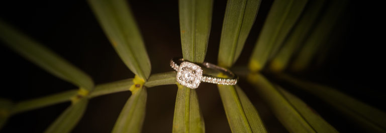 Jessica and Josh ~ Engaged | Atalaya, SC