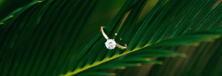 Mary-Kate and Josh ~ Engaged | Hartsville SC