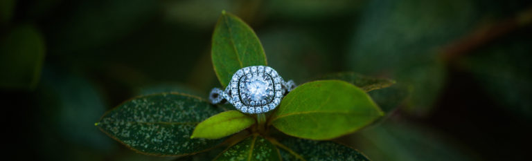 Siedah & Tyrell ~ Engaged | Florence SC