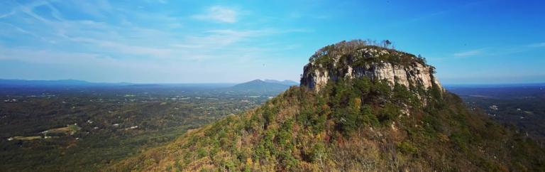 Taylor ~ Maternity | Pilot Mountain, NC