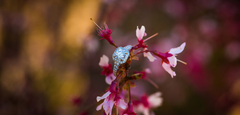 Engaged ~ Jordan and Matt